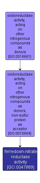GO:0047889 - ferredoxin-nitrate reductase activity (interactive image map)