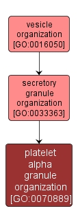 GO:0070889 - platelet alpha granule organization (interactive image map)