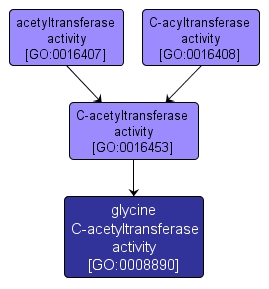 GO:0008890 - glycine C-acetyltransferase activity (interactive image map)