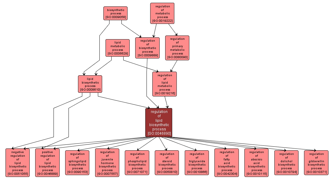 GO:0046890 - regulation of lipid biosynthetic process (interactive image map)