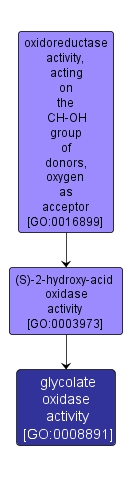 GO:0008891 - glycolate oxidase activity (interactive image map)