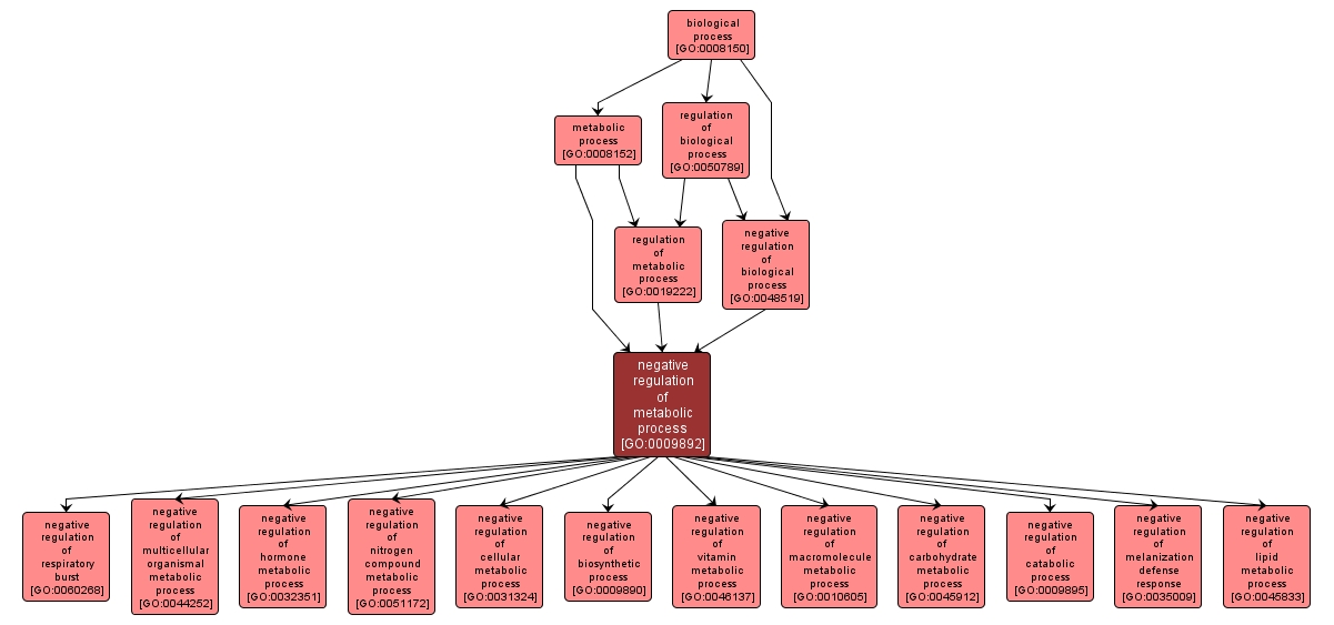 GO:0009892 - negative regulation of metabolic process (interactive image map)