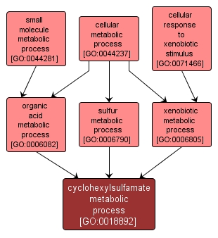 GO:0018892 - cyclohexylsulfamate metabolic process (interactive image map)