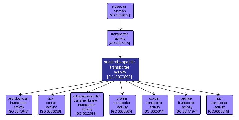 GO:0022892 - substrate-specific transporter activity (interactive image map)