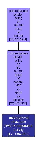 GO:0043892 - methylglyoxal reductase (NADPH-dependent) activity (interactive image map)