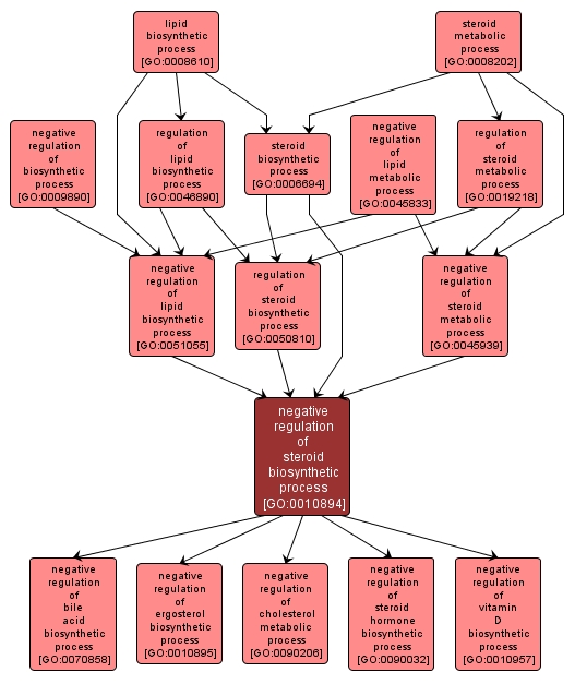 GO:0010894 - negative regulation of steroid biosynthetic process (interactive image map)