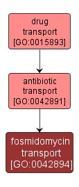 GO:0042894 - fosmidomycin transport (interactive image map)