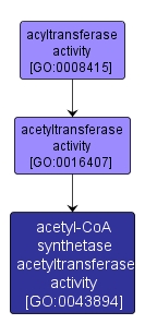 GO:0043894 - acetyl-CoA synthetase acetyltransferase activity (interactive image map)