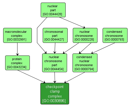 GO:0030896 - checkpoint clamp complex (interactive image map)