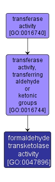 GO:0047896 - formaldehyde transketolase activity (interactive image map)