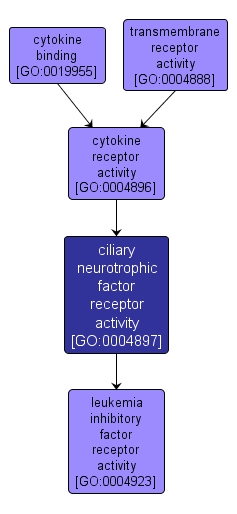 GO:0004897 - ciliary neurotrophic factor receptor activity (interactive image map)