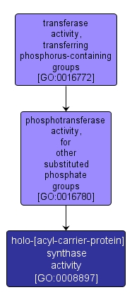 GO:0008897 - holo-[acyl-carrier-protein] synthase activity (interactive image map)