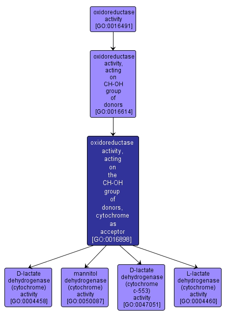 GO:0016898 - oxidoreductase activity, acting on the CH-OH group of donors, cytochrome as acceptor (interactive image map)