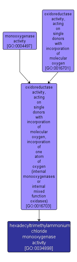 GO:0034898 - hexadecyltrimethylammonium chloride monooxygenase activity (interactive image map)