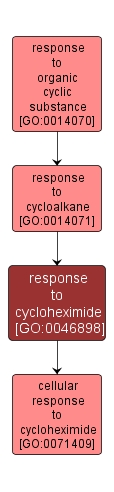 GO:0046898 - response to cycloheximide (interactive image map)