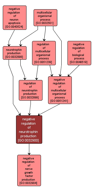 GO:0032900 - negative regulation of neurotrophin production (interactive image map)