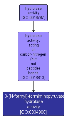 GO:0034900 - 3-(N-formyl)-formiminopyruvate hydrolase activity (interactive image map)
