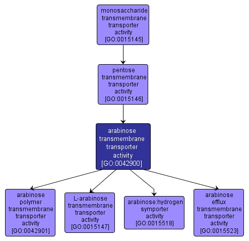 GO:0042900 - arabinose transmembrane transporter activity (interactive image map)