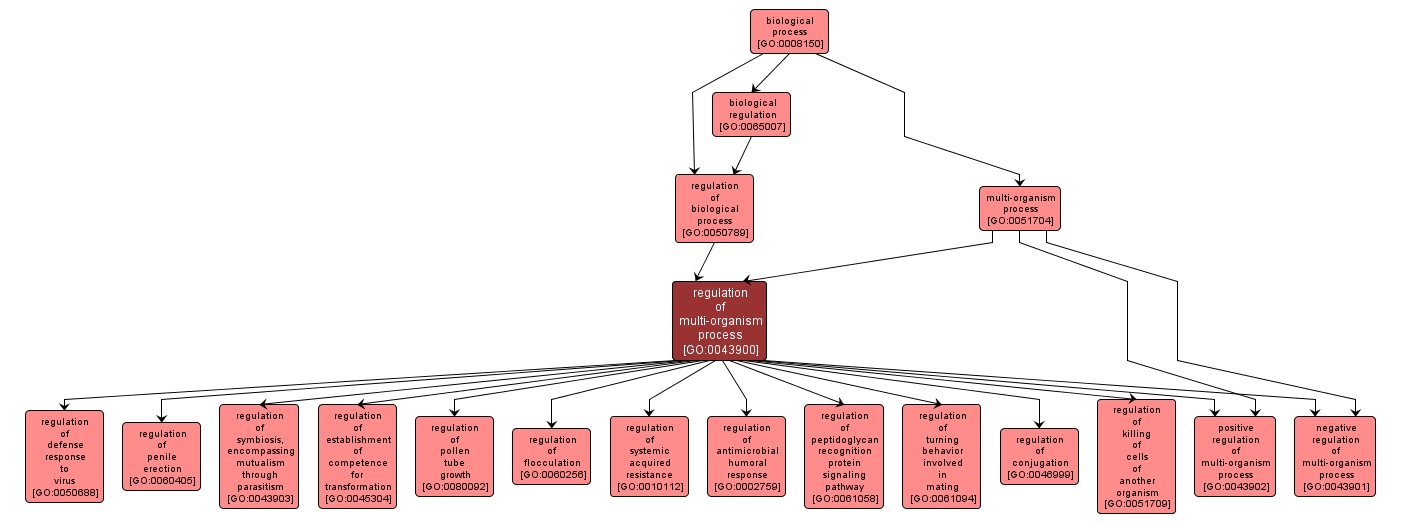 GO:0043900 - regulation of multi-organism process (interactive image map)