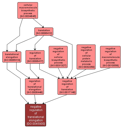 GO:0045900 - negative regulation of translational elongation (interactive image map)