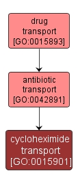 GO:0015901 - cycloheximide transport (interactive image map)