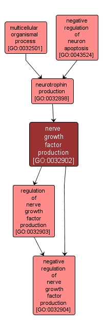 GO:0032902 - nerve growth factor production (interactive image map)