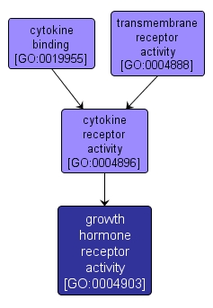 GO:0004903 - growth hormone receptor activity (interactive image map)