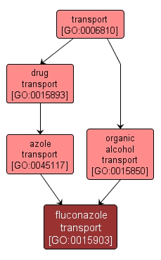 GO:0015903 - fluconazole transport (interactive image map)