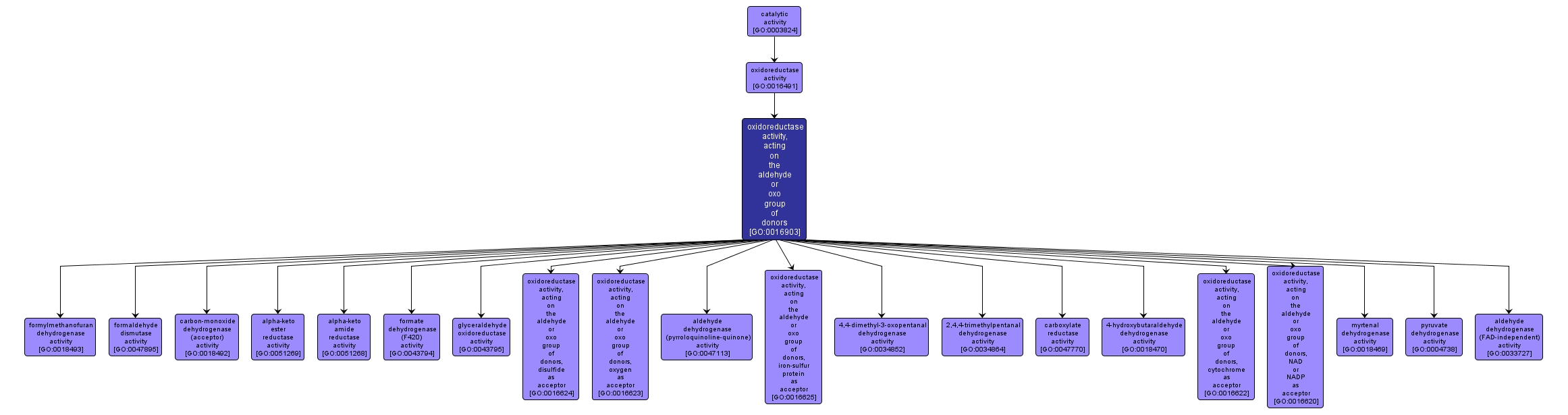 GO:0016903 - oxidoreductase activity, acting on the aldehyde or oxo group of donors (interactive image map)