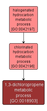 GO:0018903 - 1,3-dichloropropene metabolic process (interactive image map)