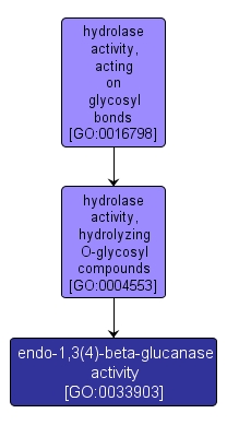 GO:0033903 - endo-1,3(4)-beta-glucanase activity (interactive image map)