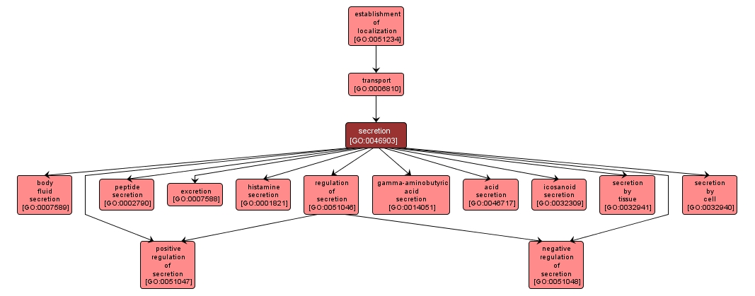 GO:0046903 - secretion (interactive image map)