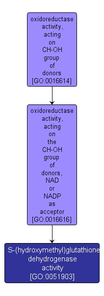 GO:0051903 - S-(hydroxymethyl)glutathione dehydrogenase activity (interactive image map)