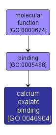 GO:0046904 - calcium oxalate binding (interactive image map)