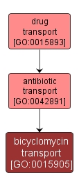 GO:0015905 - bicyclomycin transport (interactive image map)