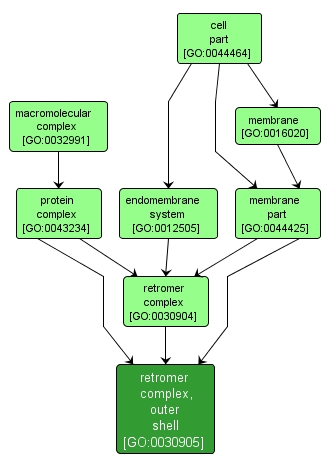 GO:0030905 - retromer complex, outer shell (interactive image map)