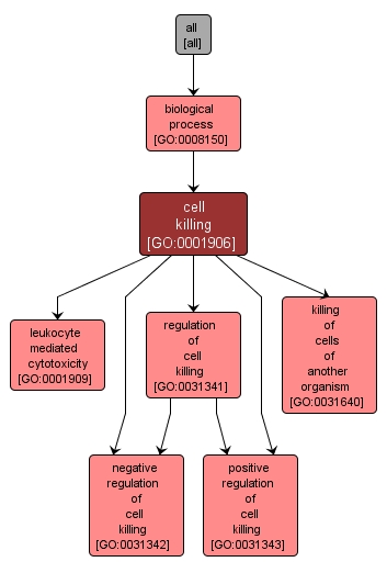 GO:0001906 - cell killing (interactive image map)