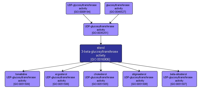 GO:0016906 - sterol 3-beta-glucosyltransferase activity (interactive image map)