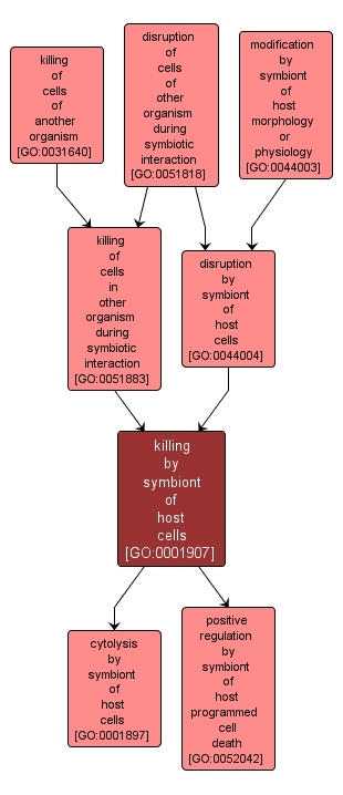 GO:0001907 - killing by symbiont of host cells (interactive image map)