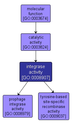 GO:0008907 - integrase activity (interactive image map)