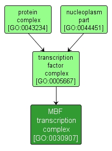 GO:0030907 - MBF transcription complex (interactive image map)