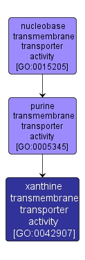 GO:0042907 - xanthine transmembrane transporter activity (interactive image map)