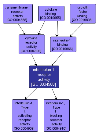 GO:0004908 - interleukin-1 receptor activity (interactive image map)