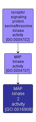 GO:0016908 - MAP kinase 2 activity (interactive image map)