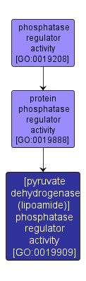 GO:0019909 - [pyruvate dehydrogenase (lipoamide)] phosphatase regulator activity (interactive image map)