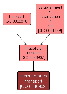 GO:0046909 - intermembrane transport (interactive image map)