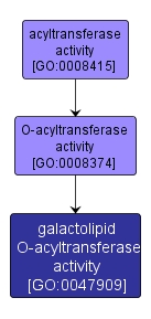 GO:0047909 - galactolipid O-acyltransferase activity (interactive image map)