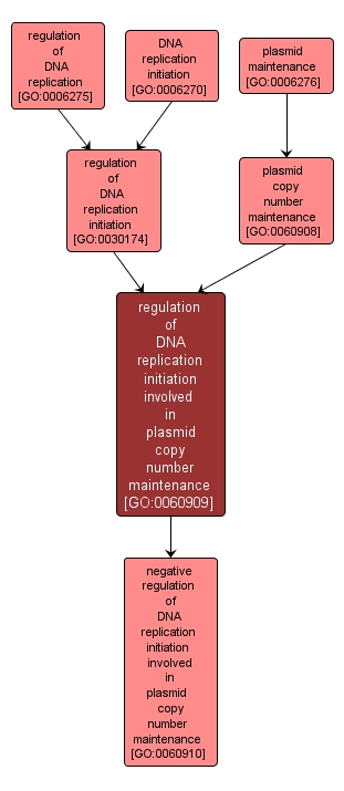 GO:0060909 - regulation of DNA replication initiation involved in plasmid copy number maintenance (interactive image map)