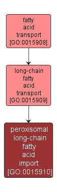 GO:0015910 - peroxisomal long-chain fatty acid import (interactive image map)