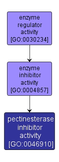 GO:0046910 - pectinesterase inhibitor activity (interactive image map)